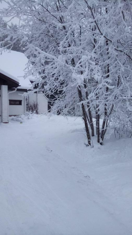 The House Near Santa Park Villa Rovaniemi Kültér fotó