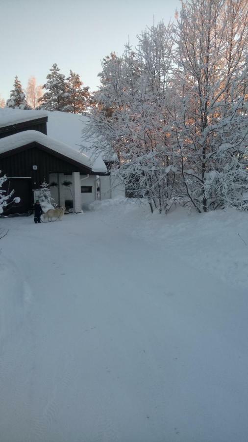 The House Near Santa Park Villa Rovaniemi Kültér fotó